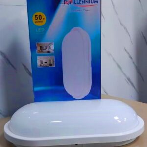 Globe étanche lumière blanche - 50W