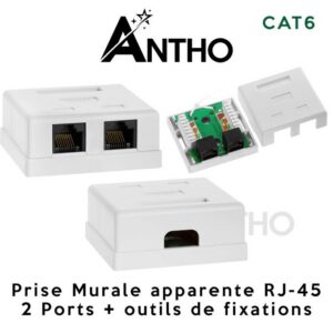 ANTHO Prise Murale RJ-45 Apparente - 2 Ports - RJ45 - CAT 6 - Blanc